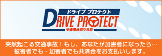ドライブプロテクト